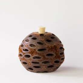 Mini Banksia Aroma Pod