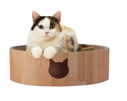 Necoichi Cozy Cat Scratcher Bowl