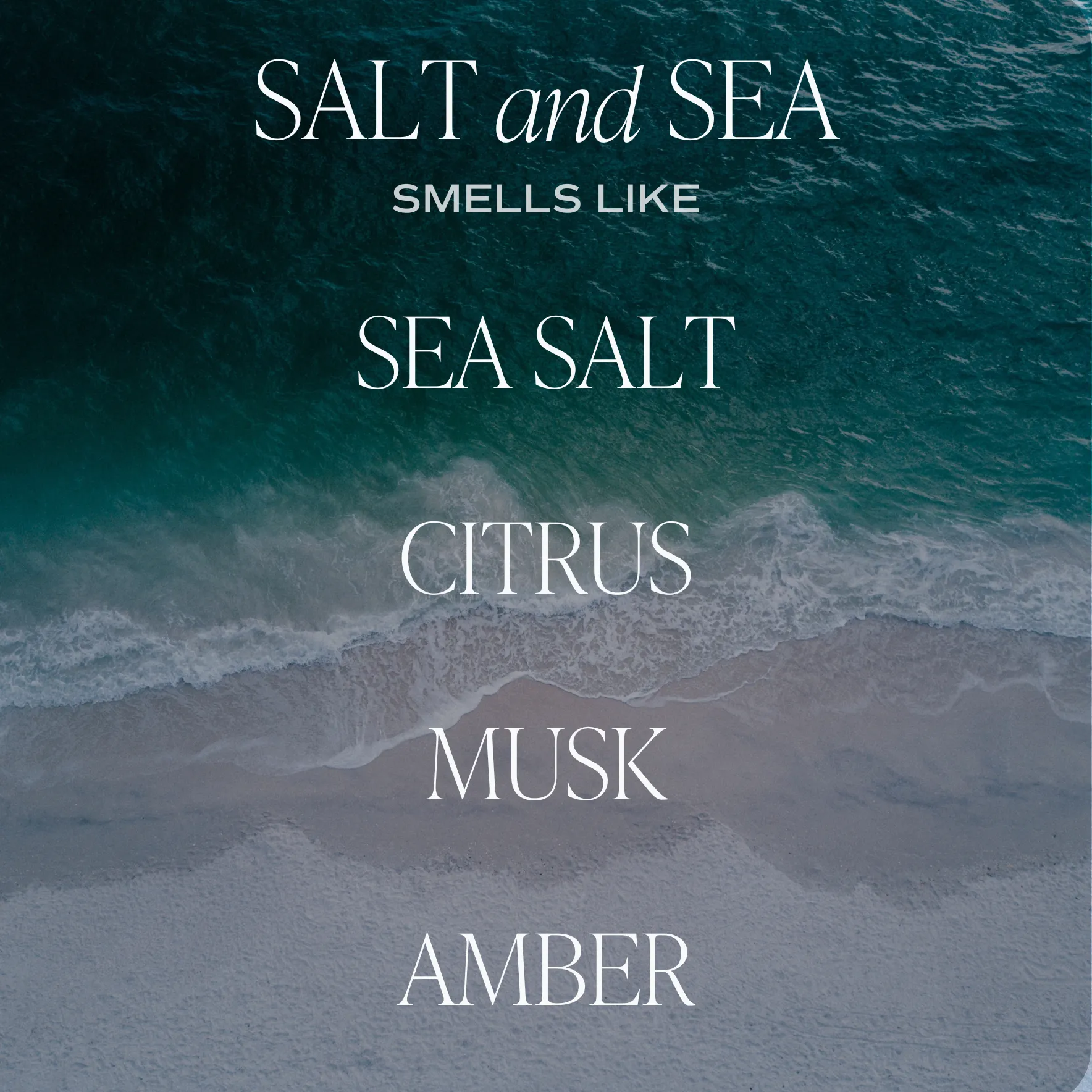 Salt   Sea Car Air Freshener